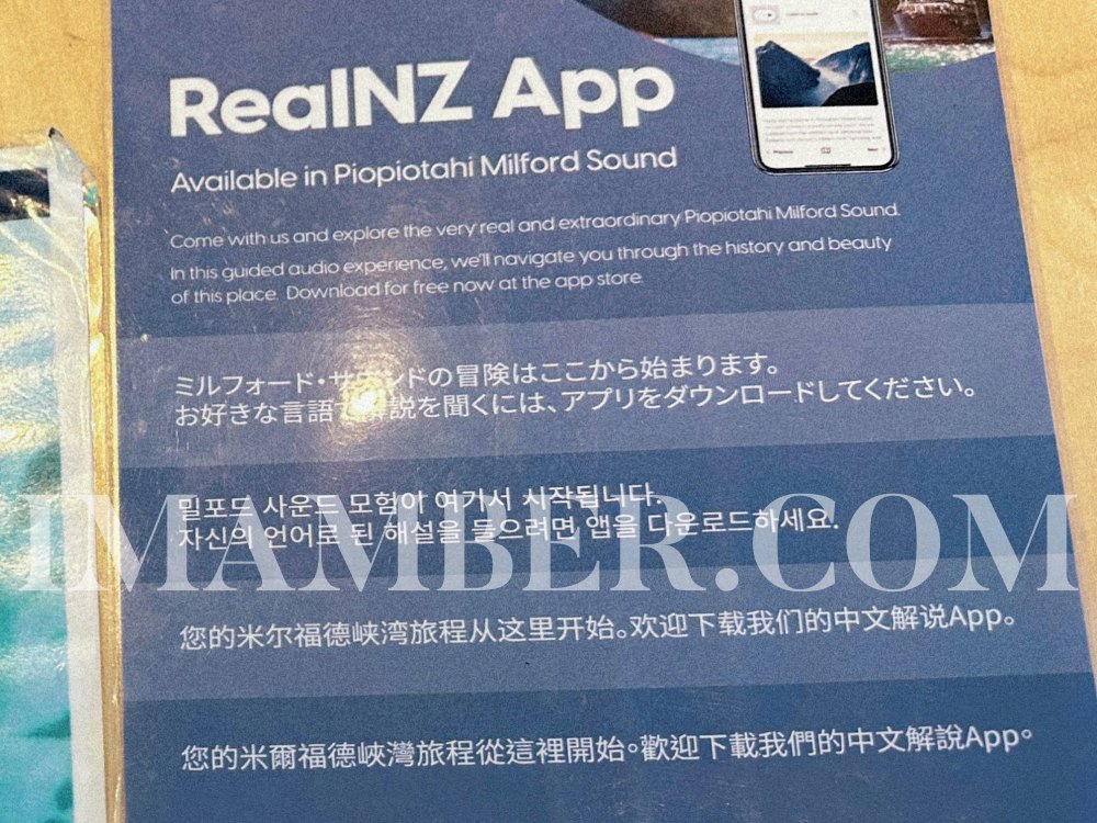 2025 RealNZ 米爾福德峽灣遊船攻略+船型比較｜避風港號、水手號、君王號、辛巴達號