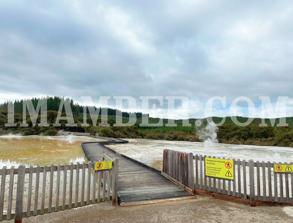 【2025 Wai-O-Tapu 懷奧塔普地熱世界攻略】Lady Knox 間歇泉時間、門票與必看景點